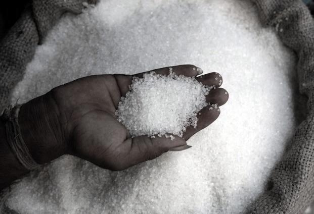 Avadh Sugar announces Financial Results, witnesses growth