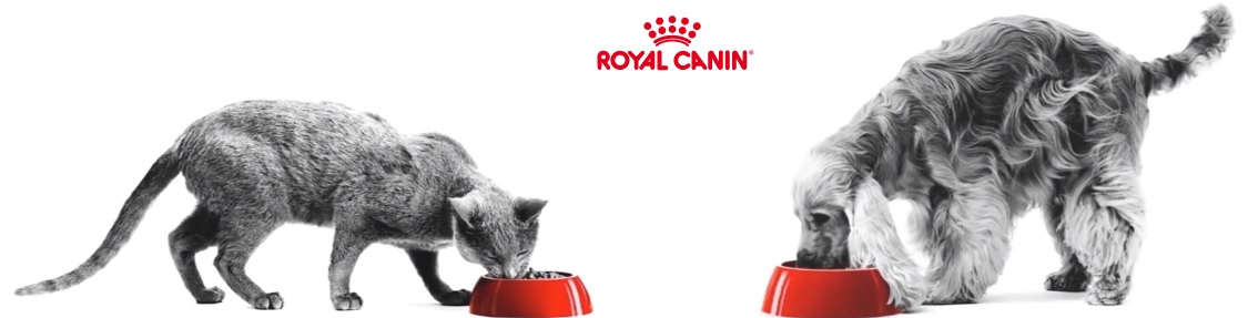 Royal Canin launches ‘Start of Life’ campaign in collaboration with Pet Experts